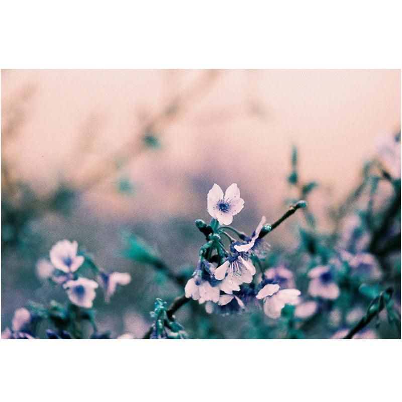 Lomography Turquoise 100-400 35mm Film - 8storeytree