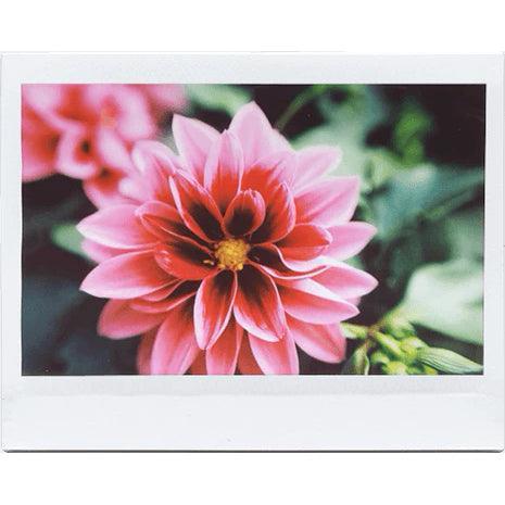 MiNT Instantkon RF70 - 8storeytree