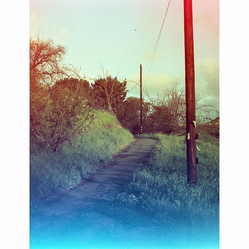 Psychedelic Blues 400 A 120 Film - 8storeytree