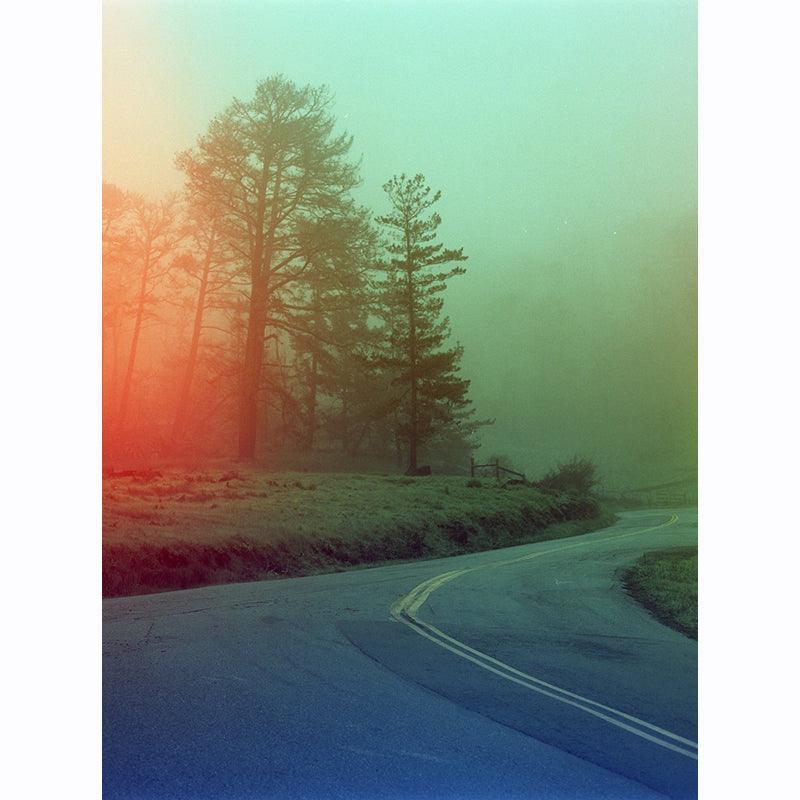 Psychedelic Blues 400 A 120 Film - 8storeytree
