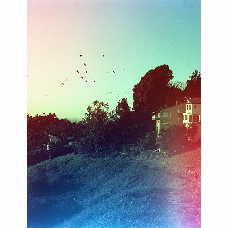 Psychedelic Blues 400 A 120 Film - 8storeytree