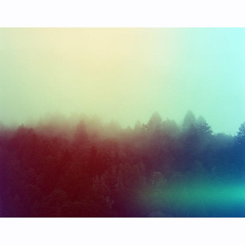 Psychedelic Blues 400 A 120 Film - 8storeytree