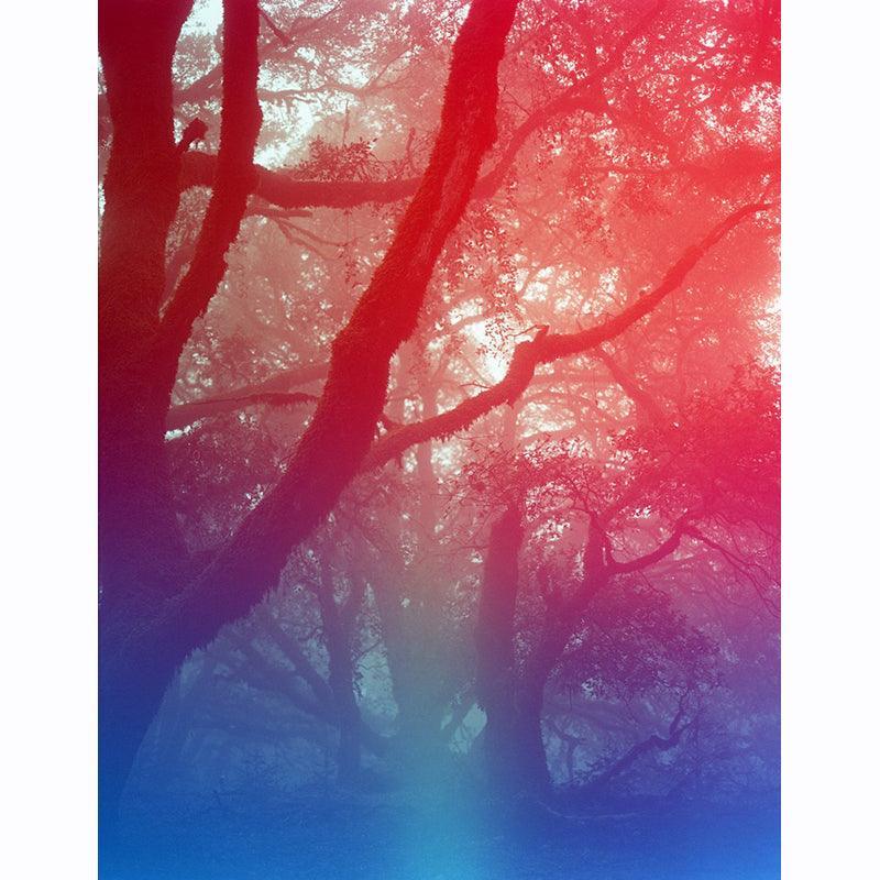 Psychedelic Blues 400 A 120 Film - 8storeytree