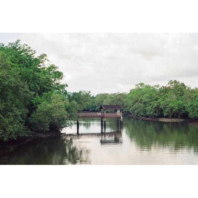 Shanghai Light (申光) 400 35mm Film - 8storeytree