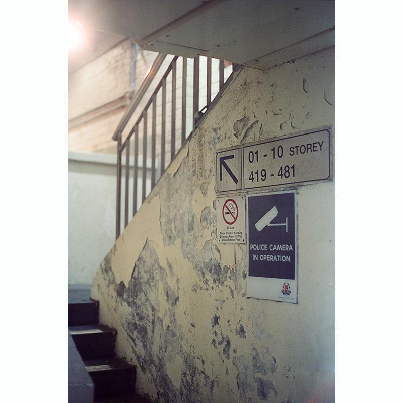 Thirtysi36 - 800T Colour 35mm Film - 8storeytree