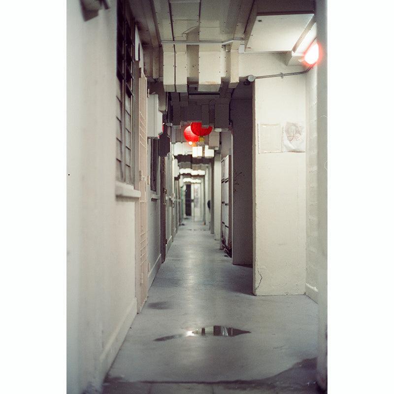 Thirtysi36 - 800T Colour 35mm Film - 8storeytree