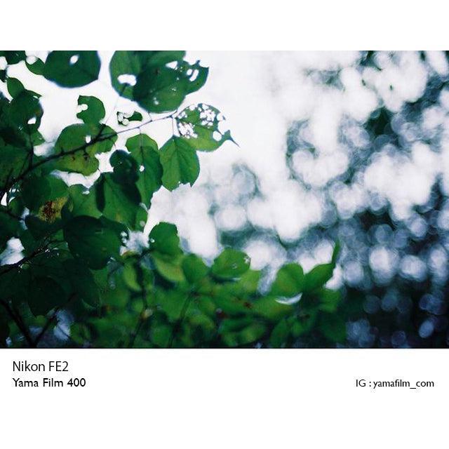Yama Film 400 35mm Film - 8storeytree