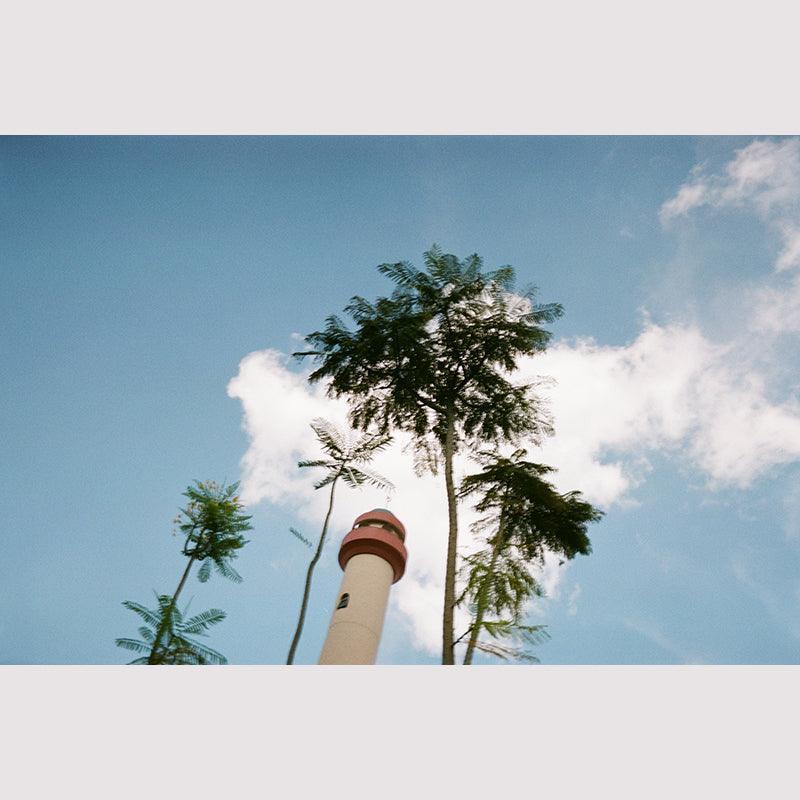 Zoom 35mm Disposable Camera - 8storeytree