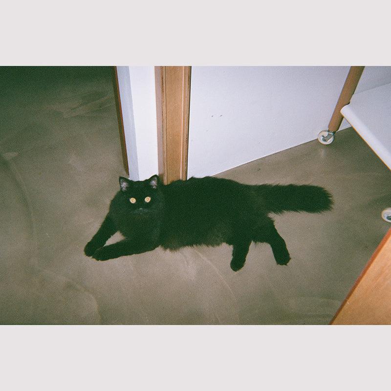 Zoom 35mm Disposable Camera - 8storeytree