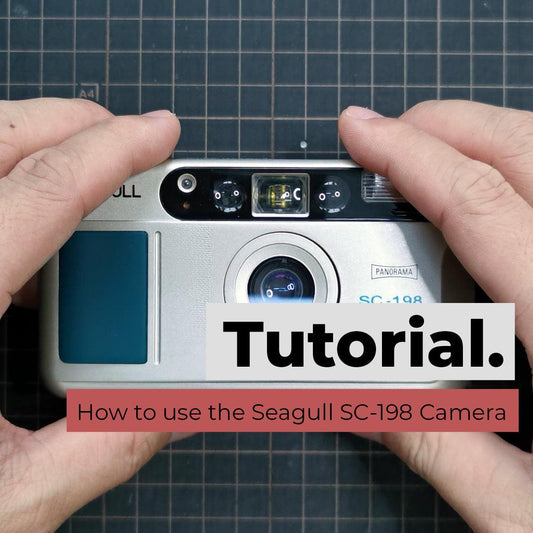How to use the Seagull SC-198 Camera - 8storeytree