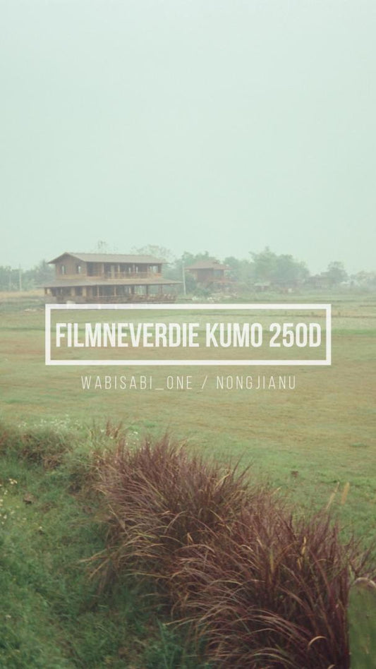 FilmNeverDie Kumo 250D - Wabisabi_one / Nongjianu