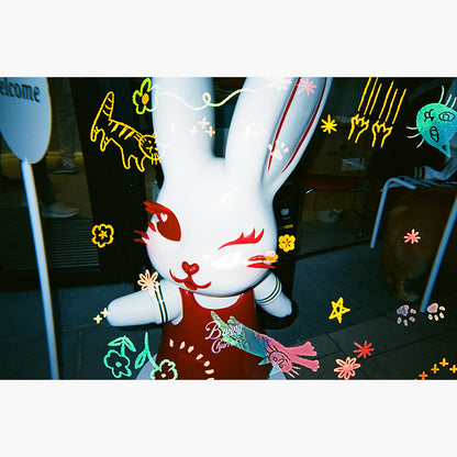 RetoColor Cat'Cha 400 35mm Disposable Camera