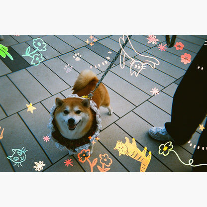 RetoColor Cat'Cha 400 35mm Disposable Camera