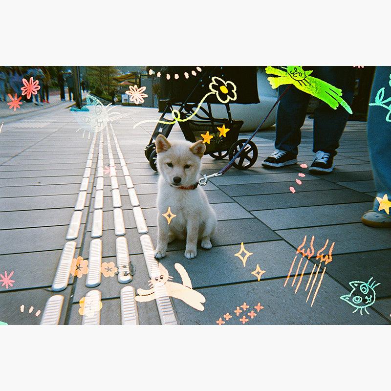 RetoColor Cat'Cha 400 35mm Disposable Camera