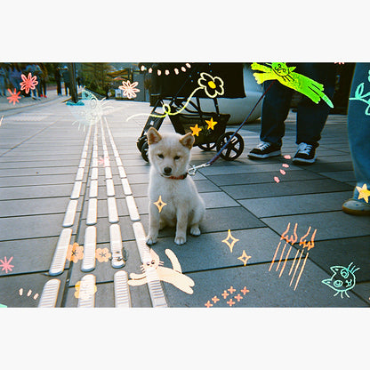 RetoColor Cat'Cha 400 35mm Disposable Camera