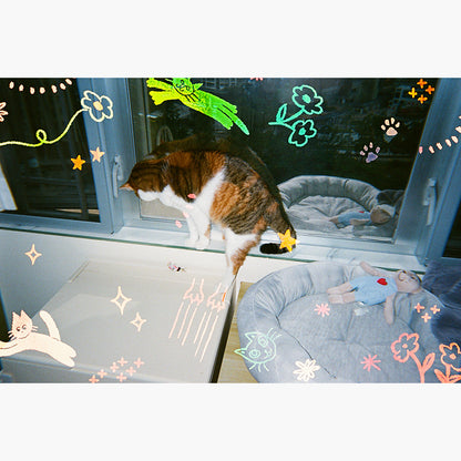 RetoColor Cat'Cha 400 35mm Disposable Camera