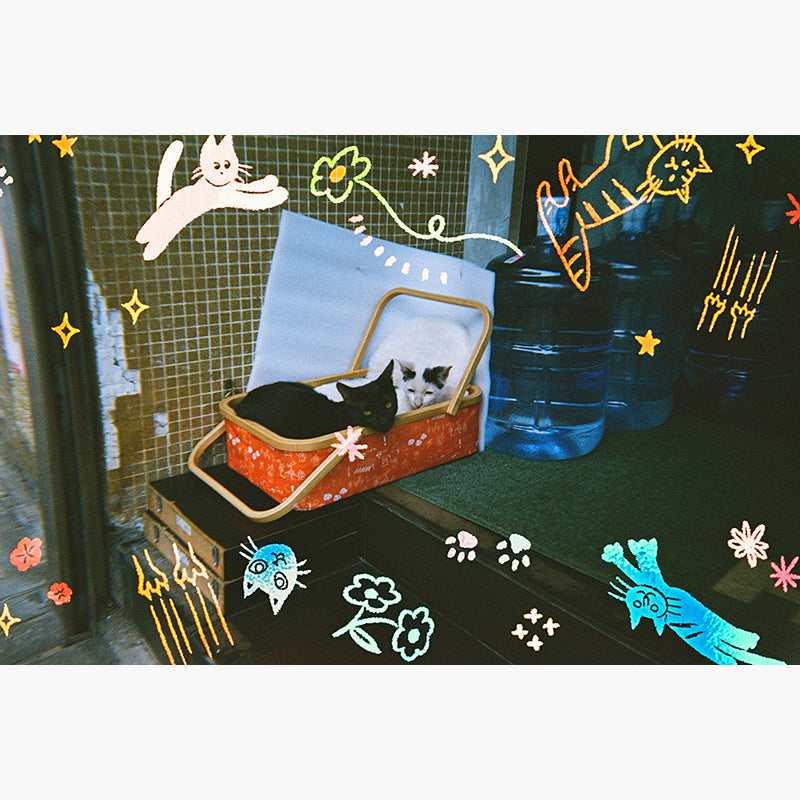 RetoColor Cat'Cha 400 35mm Disposable Camera