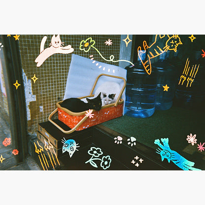 RetoColor Cat'Cha 400 35mm Disposable Camera