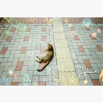 RetoColor Cat'Cha 400 35mm Disposable Camera