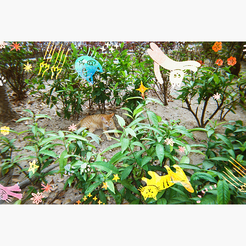 RetoColor Cat'Cha 400 35mm Disposable Camera