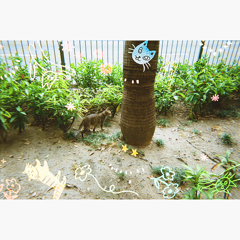 RetoColor Cat'Cha 400 35mm Disposable Camera