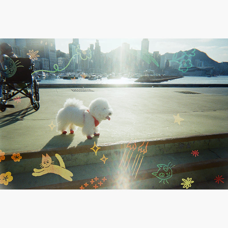 RetoColor Cat'Cha 400 35mm Disposable Camera