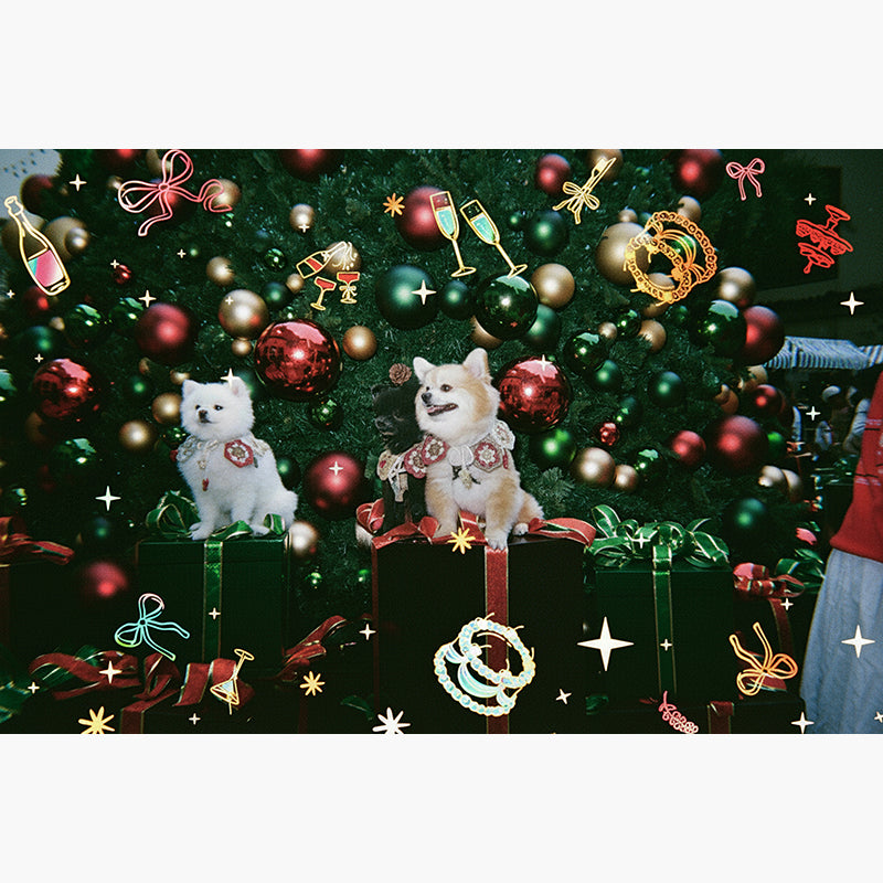 RetoColor Cheers 400 35mm Disposable Camera