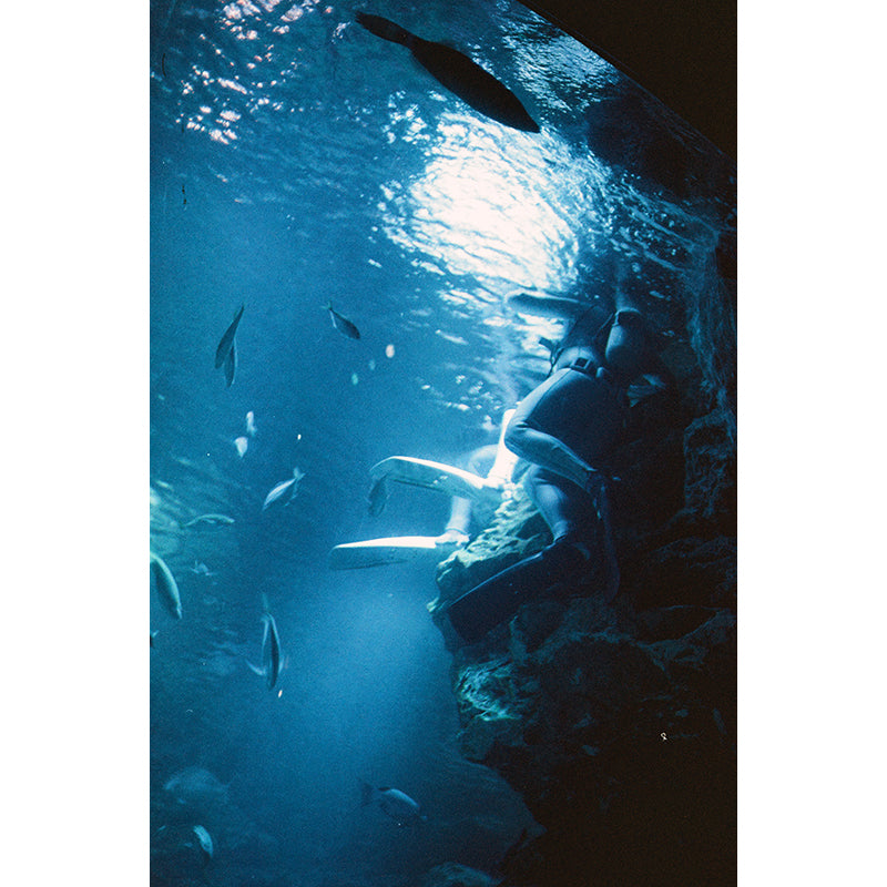 Popho Luminar 100 35mm Film (Expiry 09/2024)