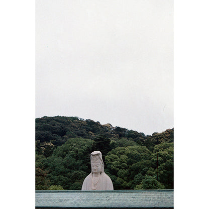 Popho Luminar 100 35mm Film (Expiry 09/2024)
