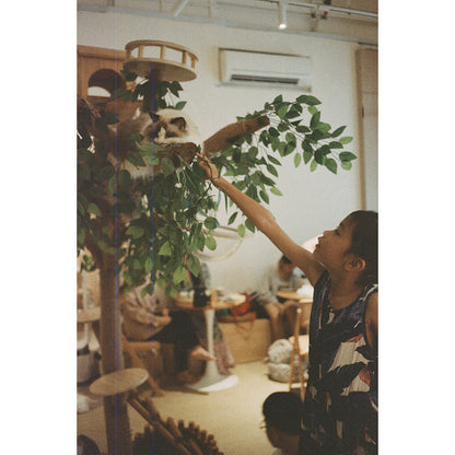 ShenGuang / Shanghai  (申光) 400 35mm Film