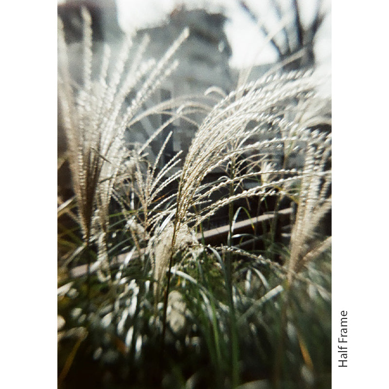 Ilford Pixie 35-II 35mm Film Camera