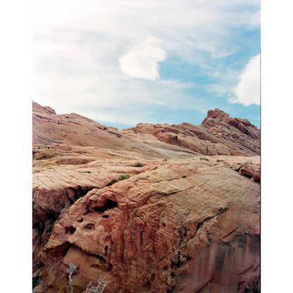 OptiColour 200 4x5 Film (25 Sheets)