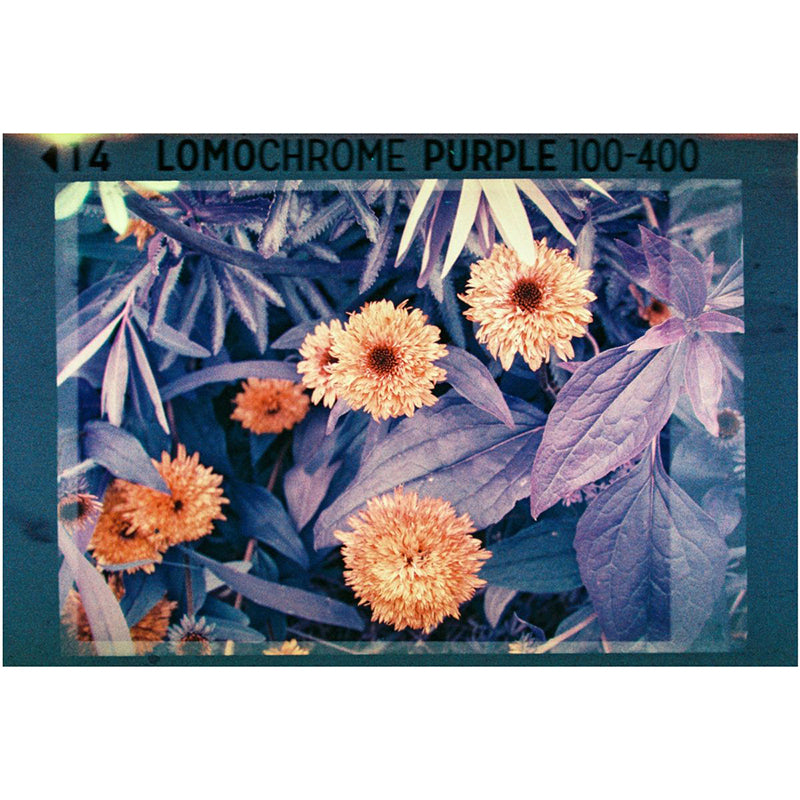 Lomography Analogue Pocket Trio 110 Film