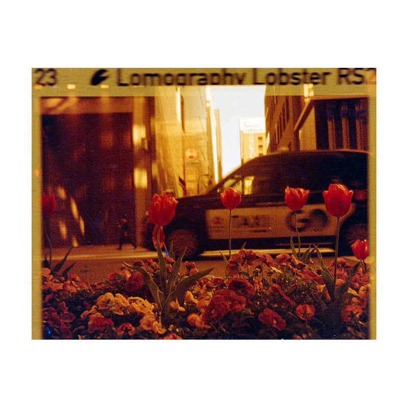 Lomography Lomomatic 110 Camera & Flash (Panthera Brass)