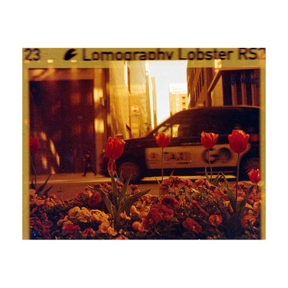 Lomography Lomomatic 110 Camera & Flash (Panthera Brass)