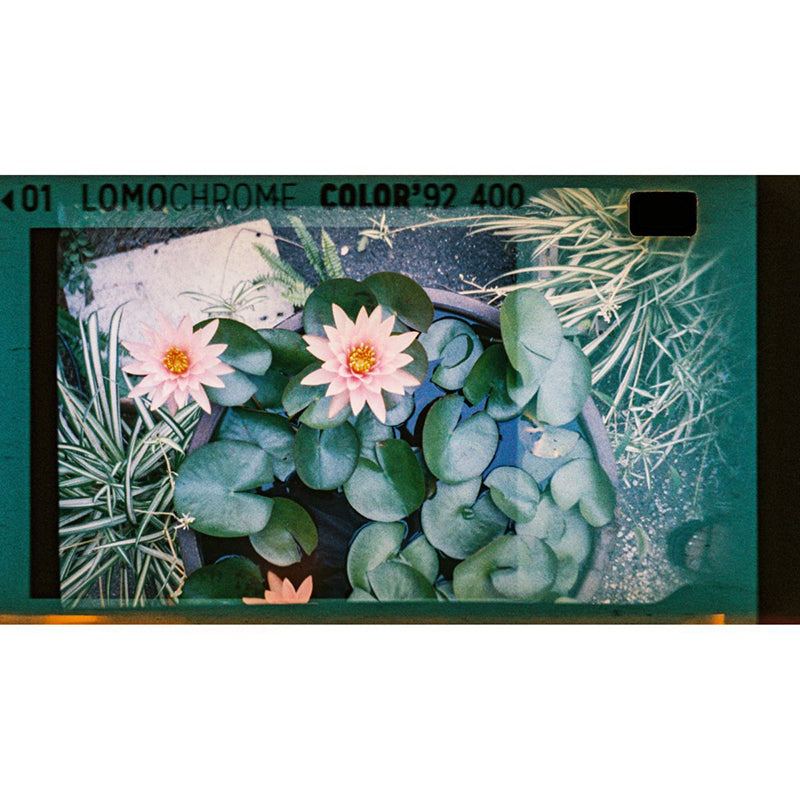 Lomography Lomomatic 110 Camera & Flash (Panthera Brass)