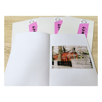 Kanamara Matsuri 2025 Photozine (filmonegative)