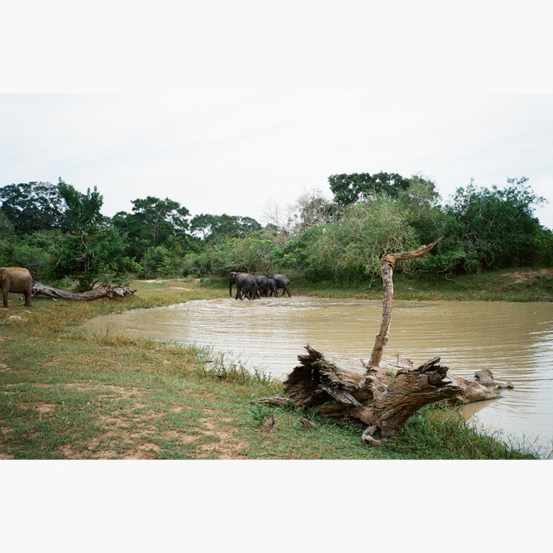 RetoColor Prism 200 35mm Film