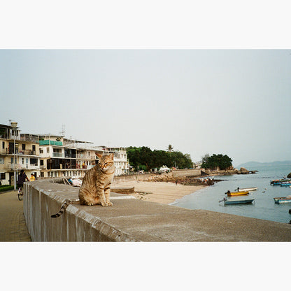 RetoColor Prism 200 35mm Film