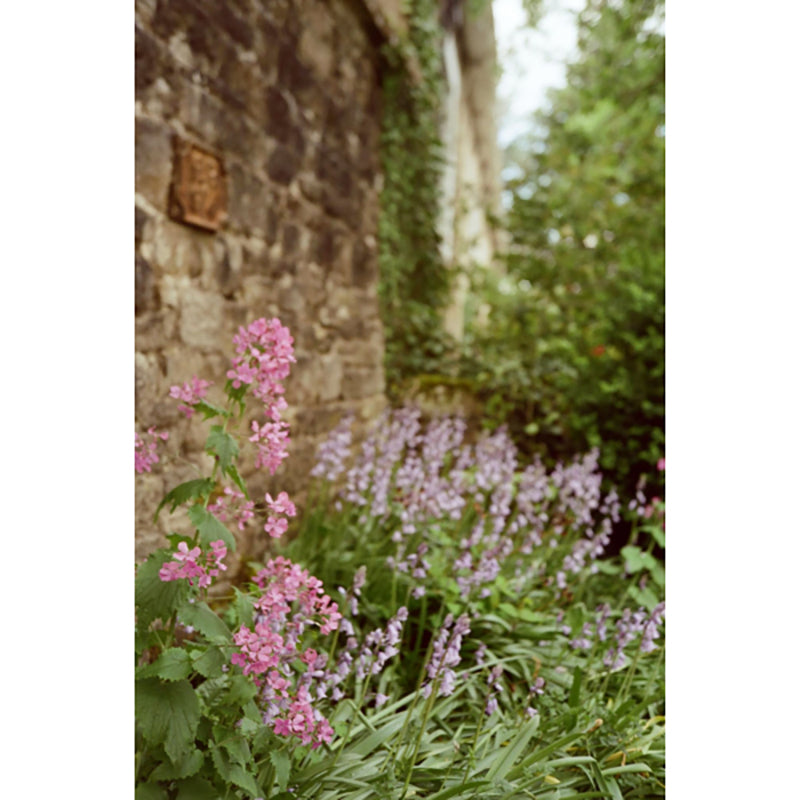 Candido 50 35mm Film