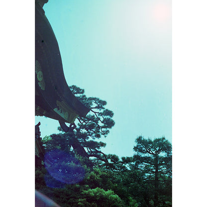 320T Tungsten EI 320T 35mm Film