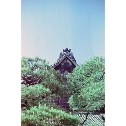 320T Tungsten EI 320T 35mm Film