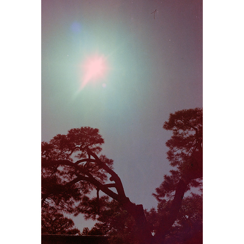 320T Tungsten EI 320T 35mm Film