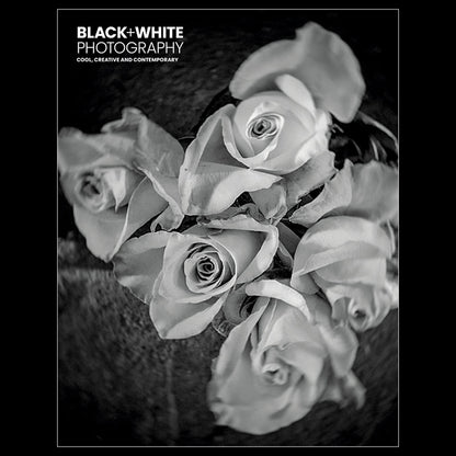 Black + White Photography Magazine (UK)