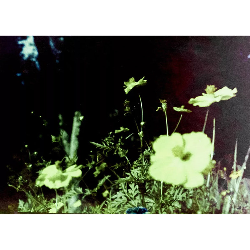 Bones film - ColorBones 120 Film (Experimental)