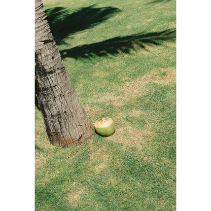 Mr. Negative Fragile (Film Safety Capsule) 35mm Film