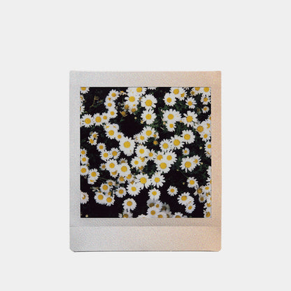 Fujifilm Instax Square Film - Border Editions (10 Exposures)