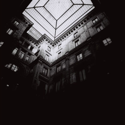 Lomography Earl Grey B&W 100 120 Film (3 Rolls)