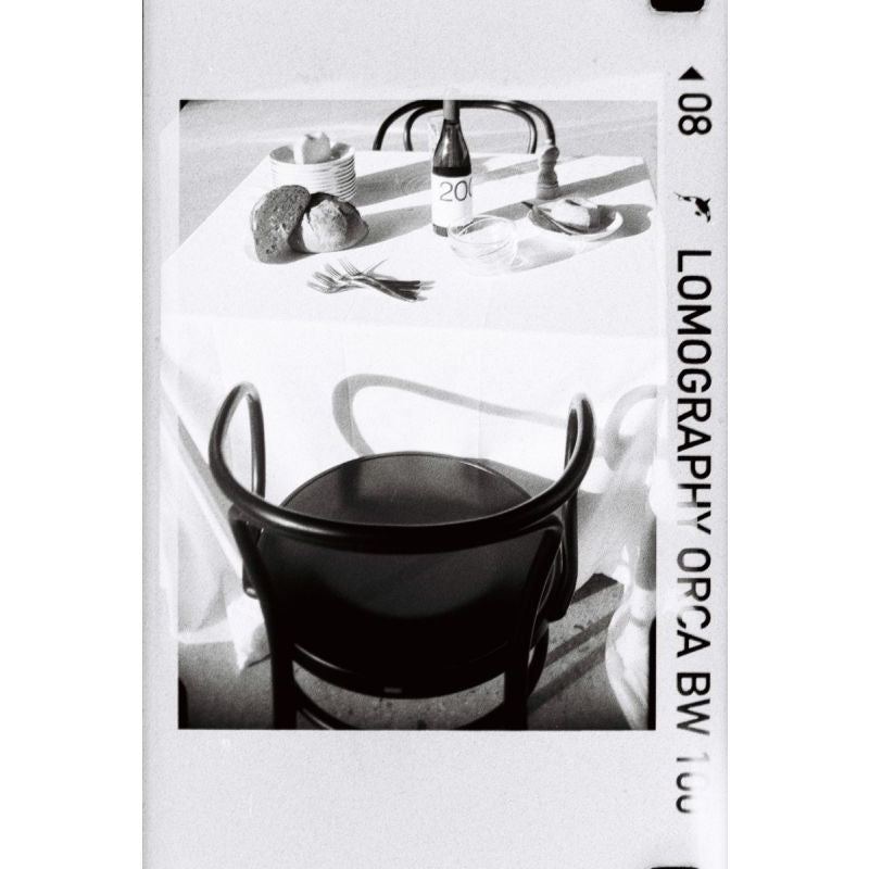Lomography Lomomatic 110 Camera & Flash (Ladybug)