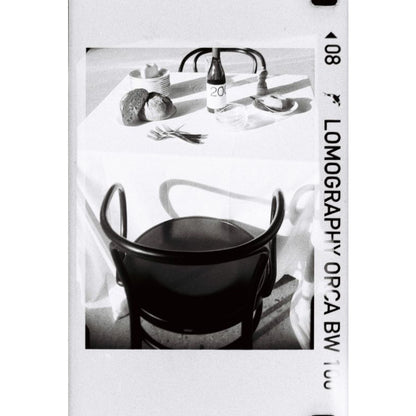 Lomography Lomomatic 110 Camera & Flash (Ladybug)